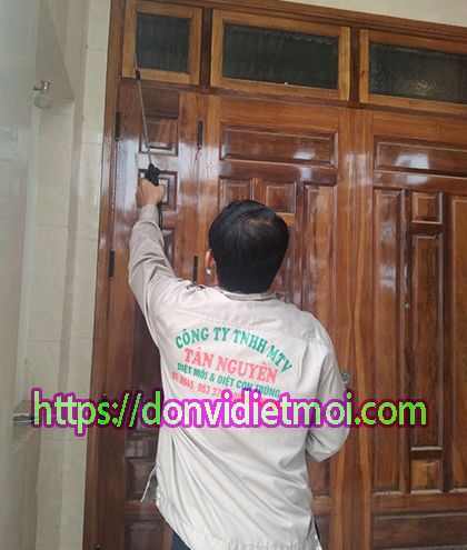 Diệt trừ mối mọt