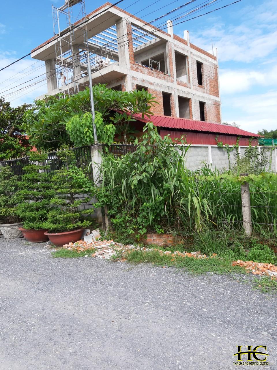 Lắp đặt thạch cao
