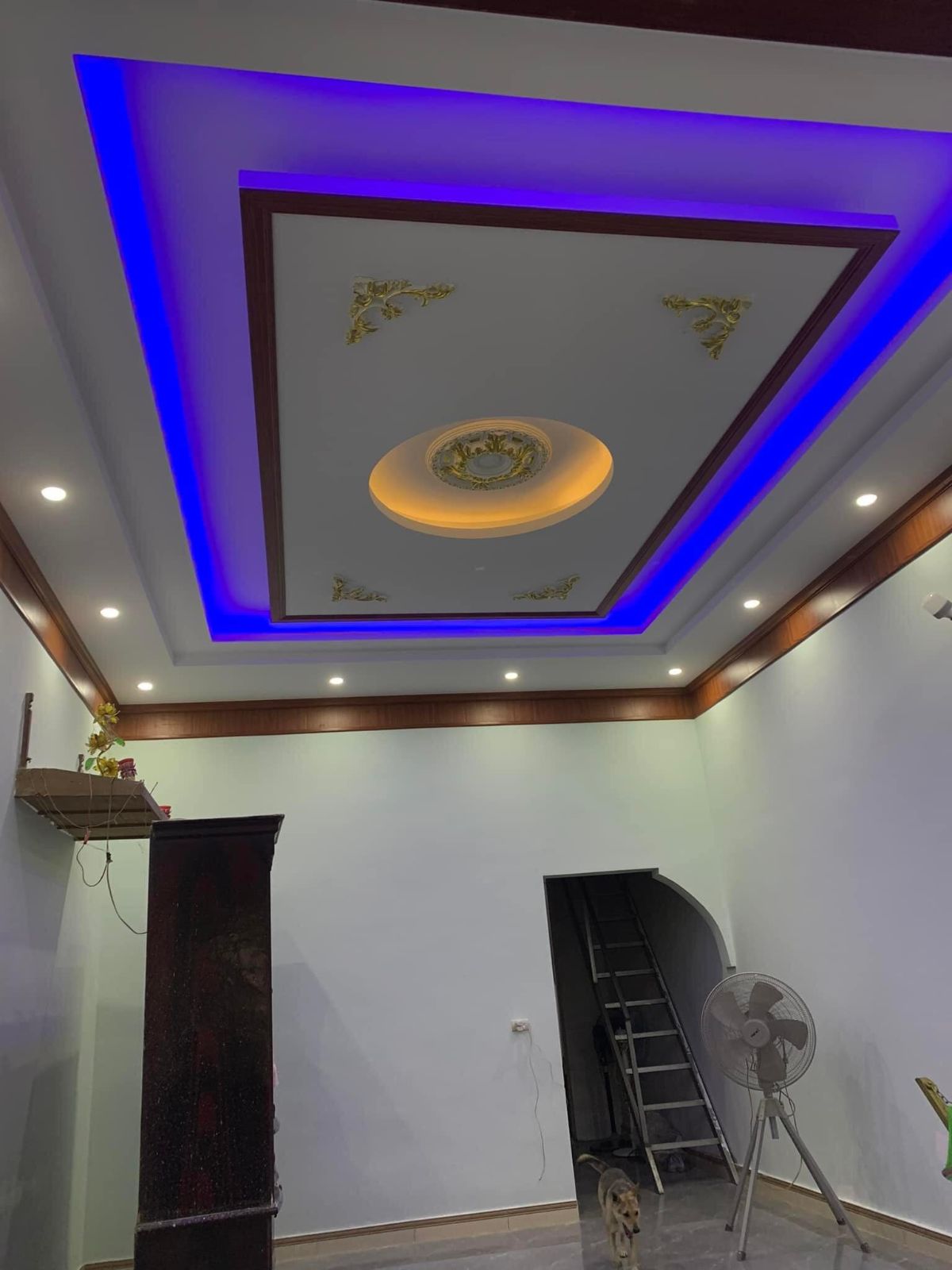 Thiết kế trần thạch cao