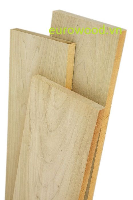 GỖ BẠCH DƯƠNG  WHITE POPLAR