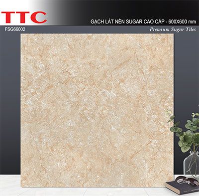 Gạch lát nền TTC