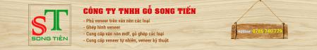 Công Ty TNHH Gỗ Song Tiến