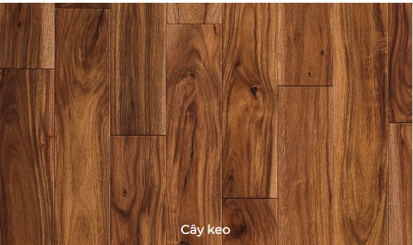 Gỗ cây keo