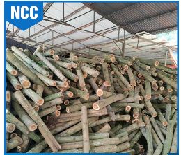 Viên nén gỗ