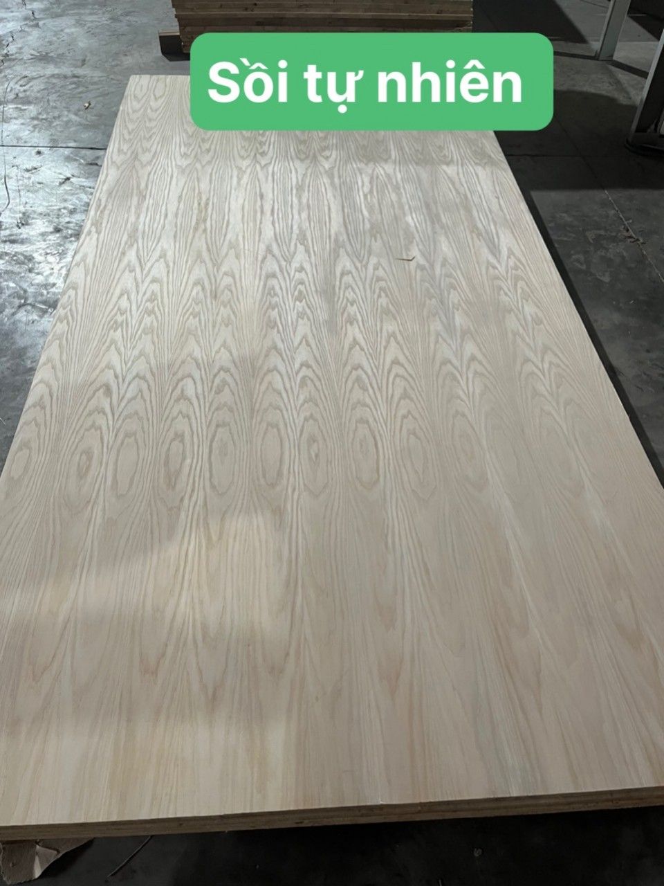 Gỗ sồi tự nhiên