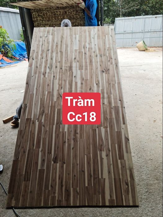 Gỗ tràm
