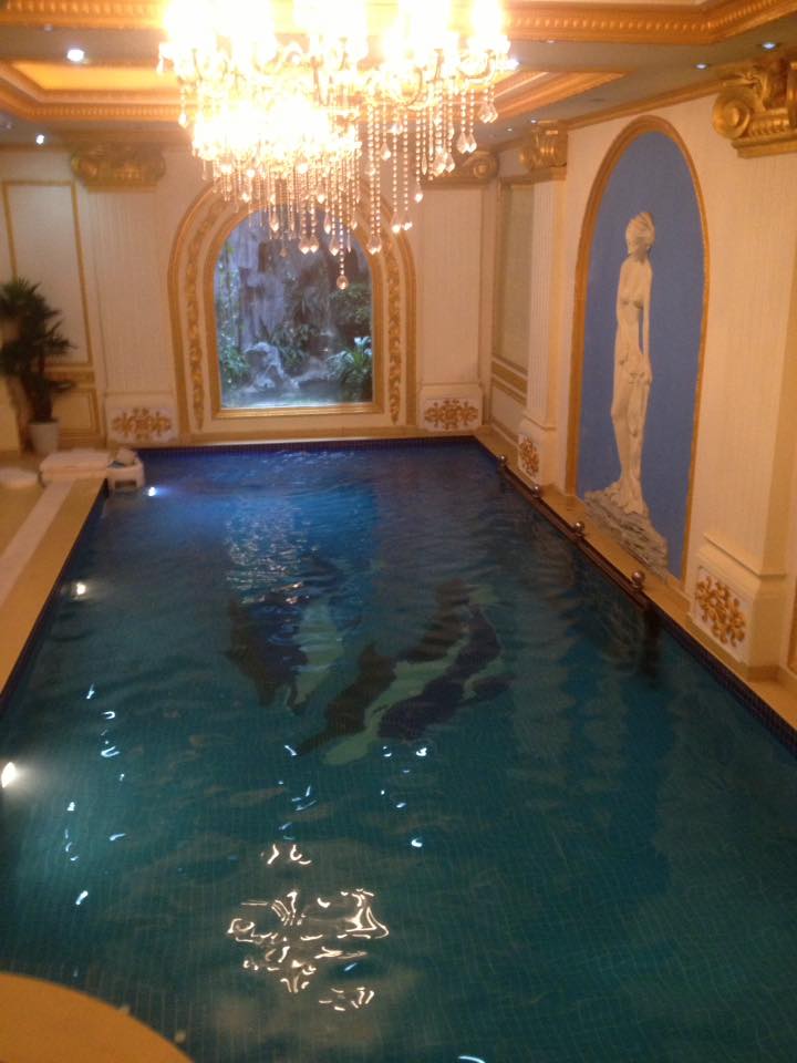 Bể bơi bốn mùa  Villa Mr Hải