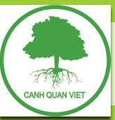 CÔNG TY TNHH MỘT THÀNH VIÊN MỸ THUẬT CẢNH QUAN VIỆT