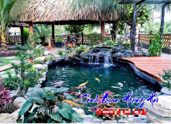 Thiết kế hồ cá koi