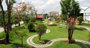 Thi công cảnh quan