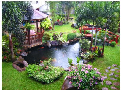 Thiết kế cảnh quan sân vườn