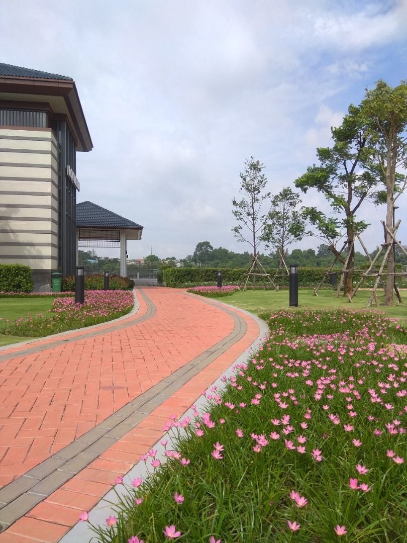 DỰ ÁN HOA SEN ĐẠI PHƯỚCMARINA UPGRADE
