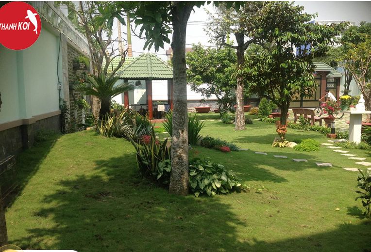 Thiết kế cảnh quan sân vườn