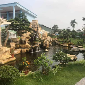 Hồ cá koi