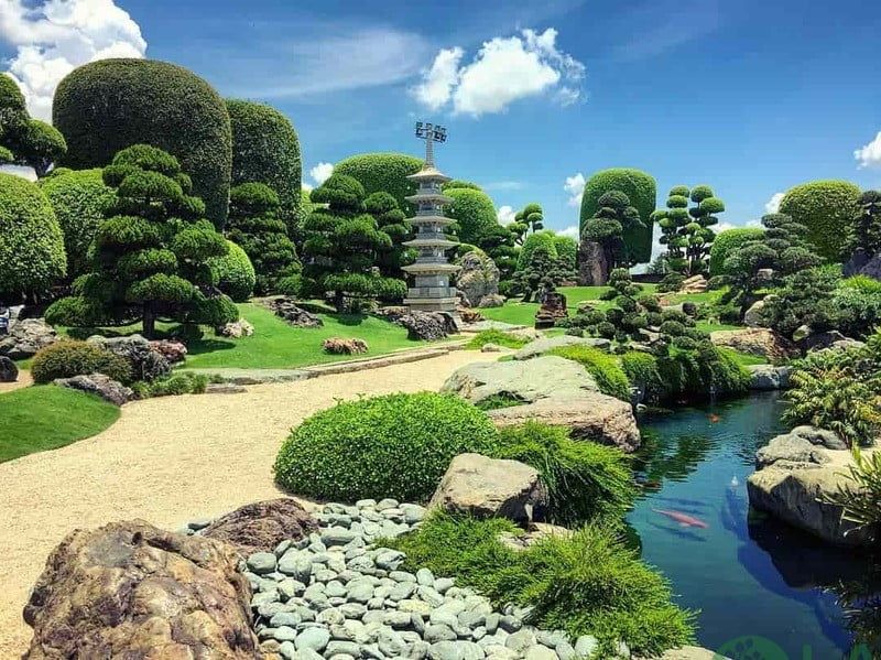 Thi công thiết kế cảnh quan sân vườn 