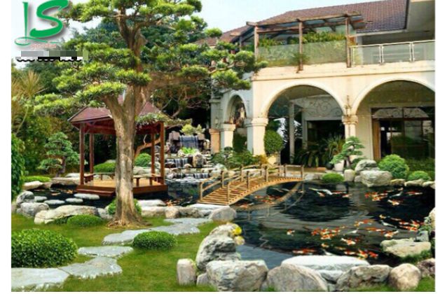 Thiết kế cảnh quan sân vườn