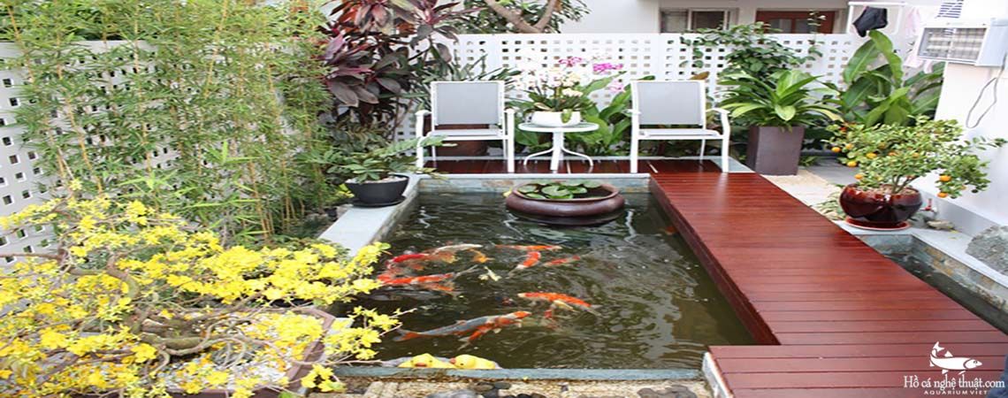 Hồ cá koi