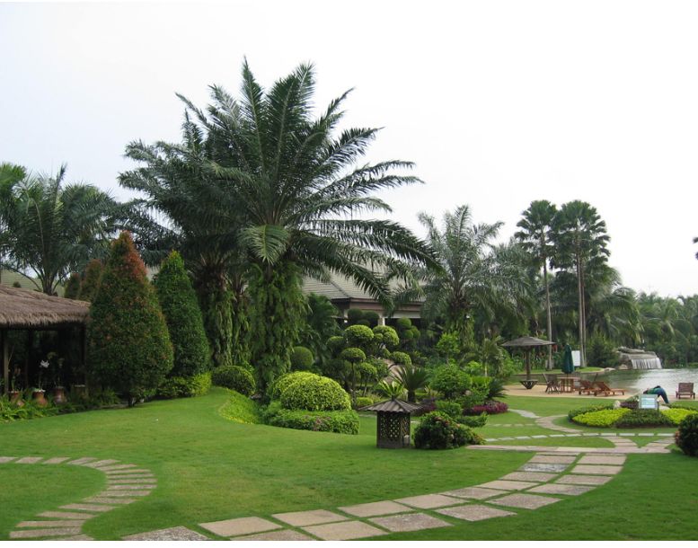 Thiết kế cảnh quan