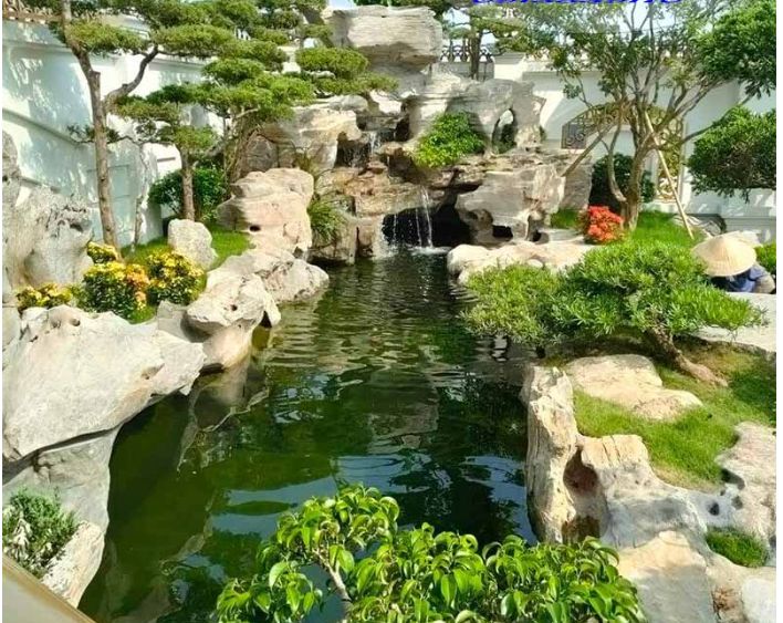 Thiết kế hồ cá koi