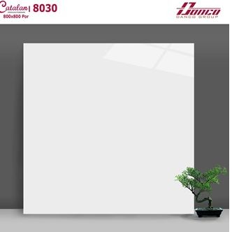 Đá bóng kiếng trắng trơn Catalan 80x80cm 8030