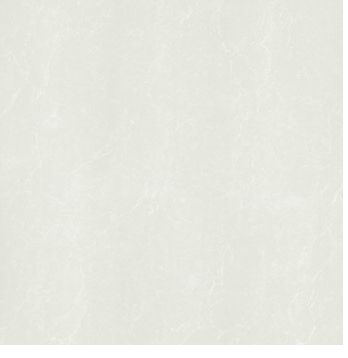 Gạch Taicera 80x80cm P87762N