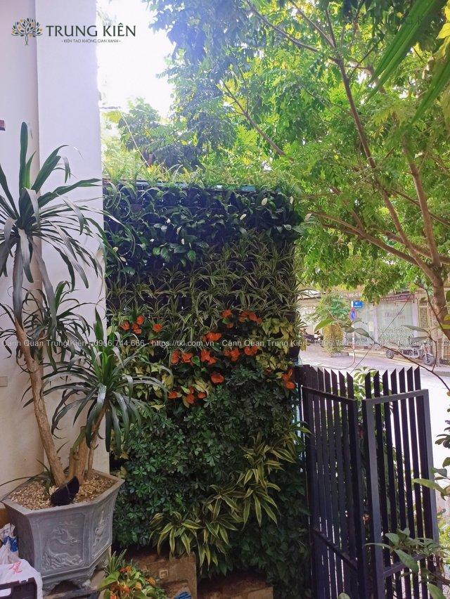 Thiết kế  thi công vườn đứng