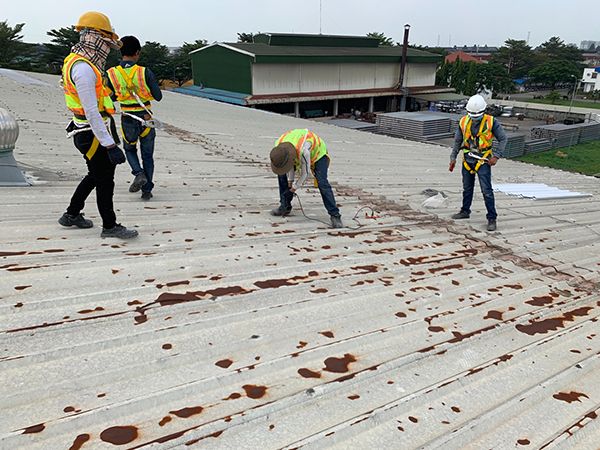 Cải tạo sữa chữa lại mái tôn nhà xưởng