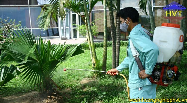 Dịch vụ phun diệt côn trùng