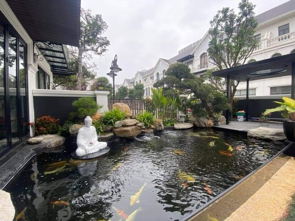 Thiết kế thi công hồ cá Koi