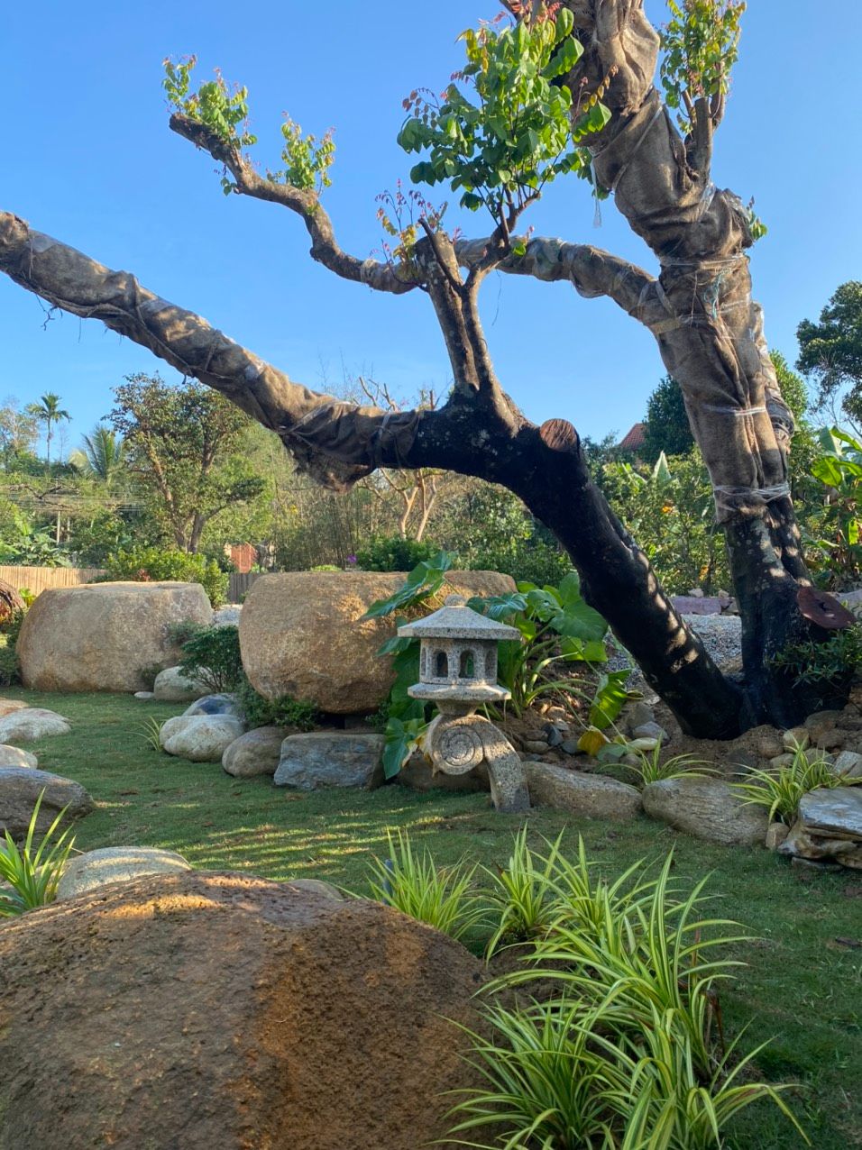 Thiết kế thi công cảnh quan sân vườn