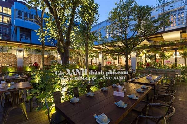 Thi công cây xanh Nhà hàng Anh Đức