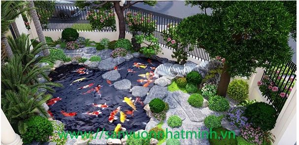 Hồ cá koi