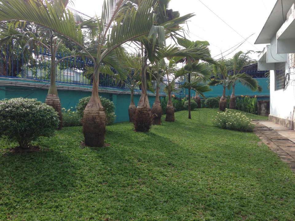 CÔNG TY TÔN PHƯƠNG NAM