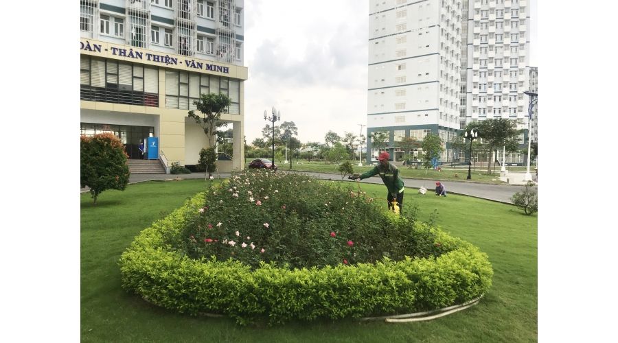  Thiết kế thi công tiểu cảnh tòa nhà F Ký túc xá khu B ĐHQG