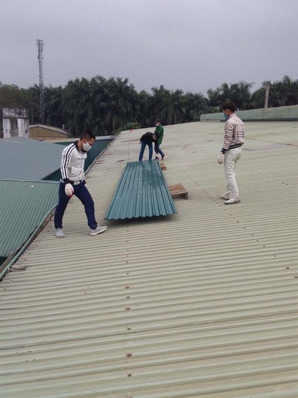 Sửa chữa mái tôn
