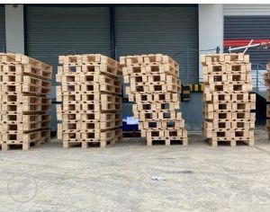Pallet Ván Ép Pallet Gỗ Ván Ép