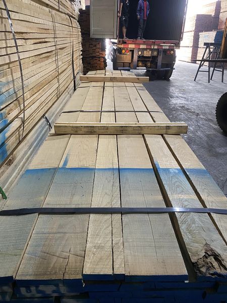 Sồi trắng 54 1C