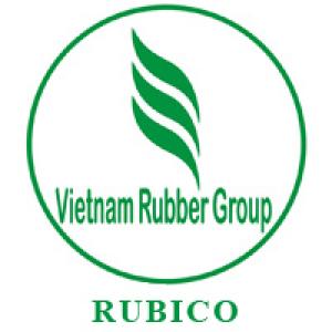 CÔNG TY CỔ PHẦN CÔNG NGHIỆP & XUẤT NHẬP KHẨU CAO SU RUBICO