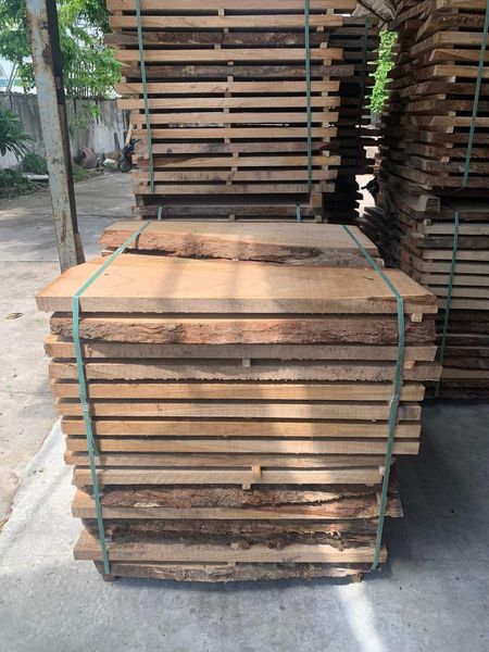 Gỗ Sồi