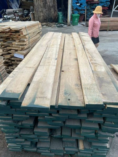 Sồi đỏ 44 2C