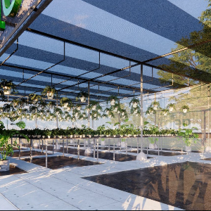 Vườn ươm cây giống DGARDEN