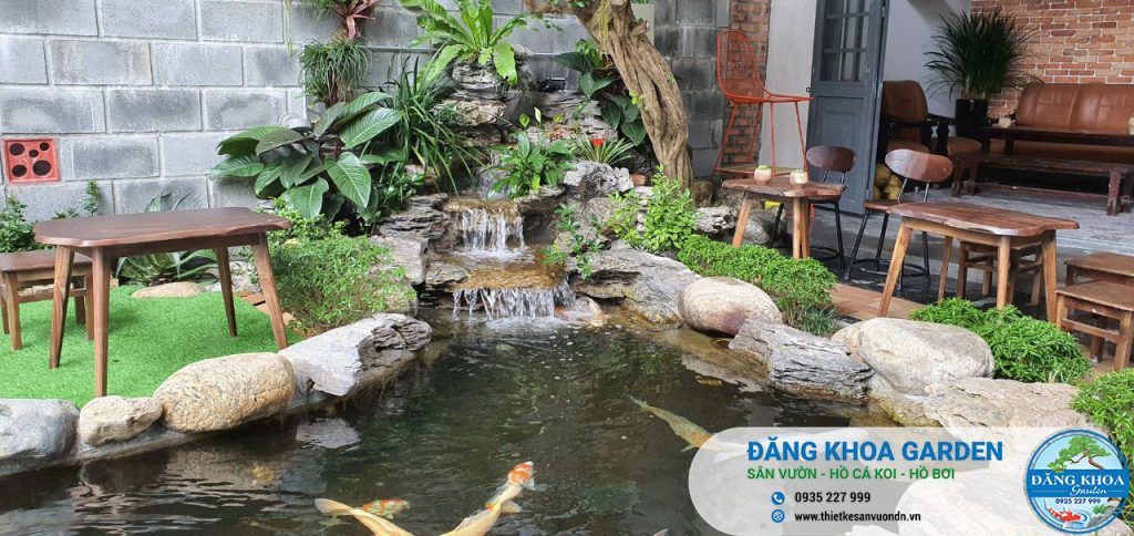 Thi công hồ cá Koi
