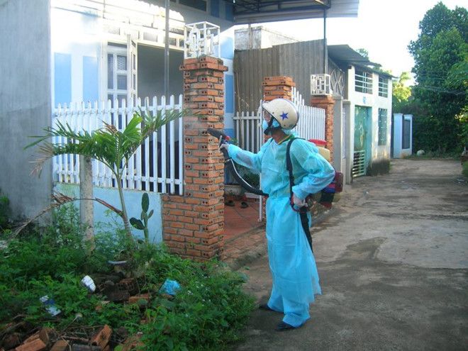 Phun diệt côn trùng