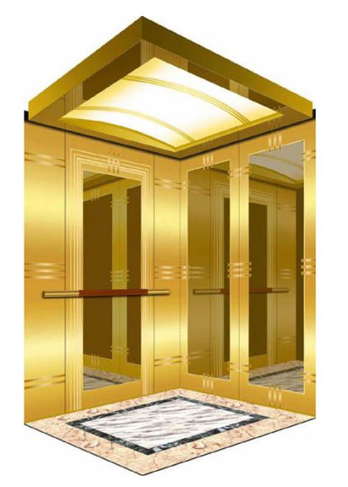 Thang máy tải khách 