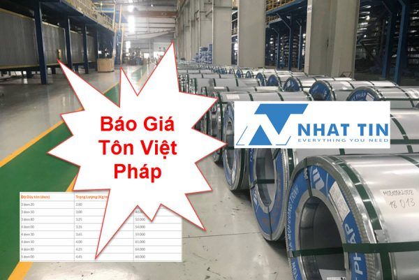 Tôn Việt Pháp