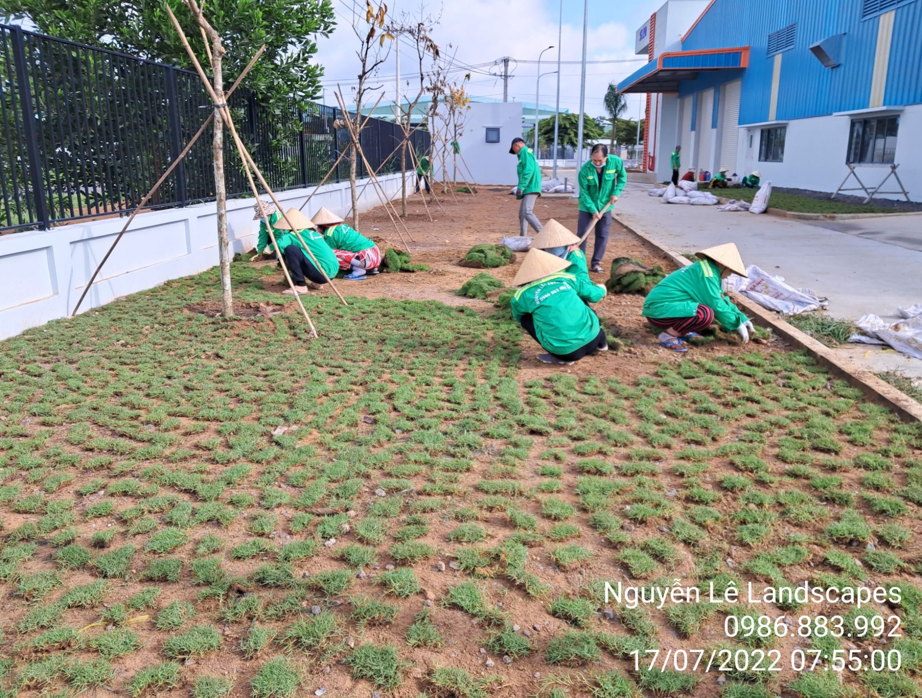 Dịch vụ trồng cỏ 