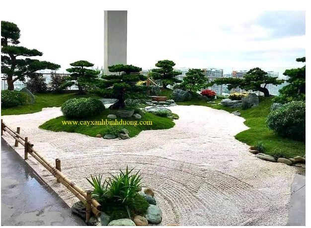 Thi công thiết kế cảnh quan 