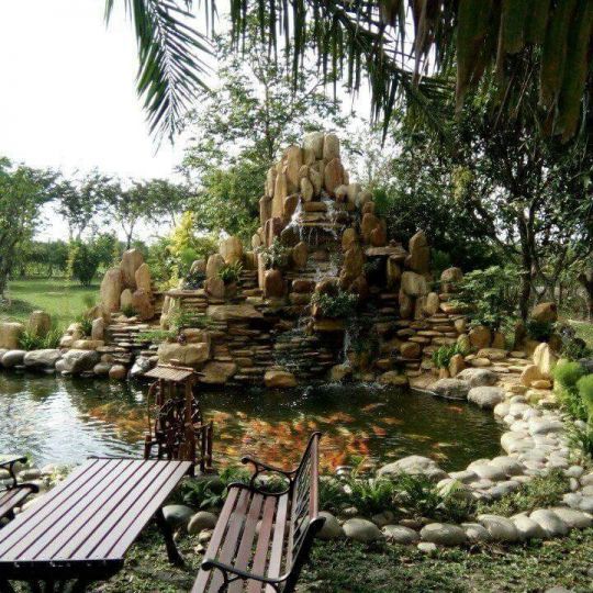 Thiết kế hồ cá koi