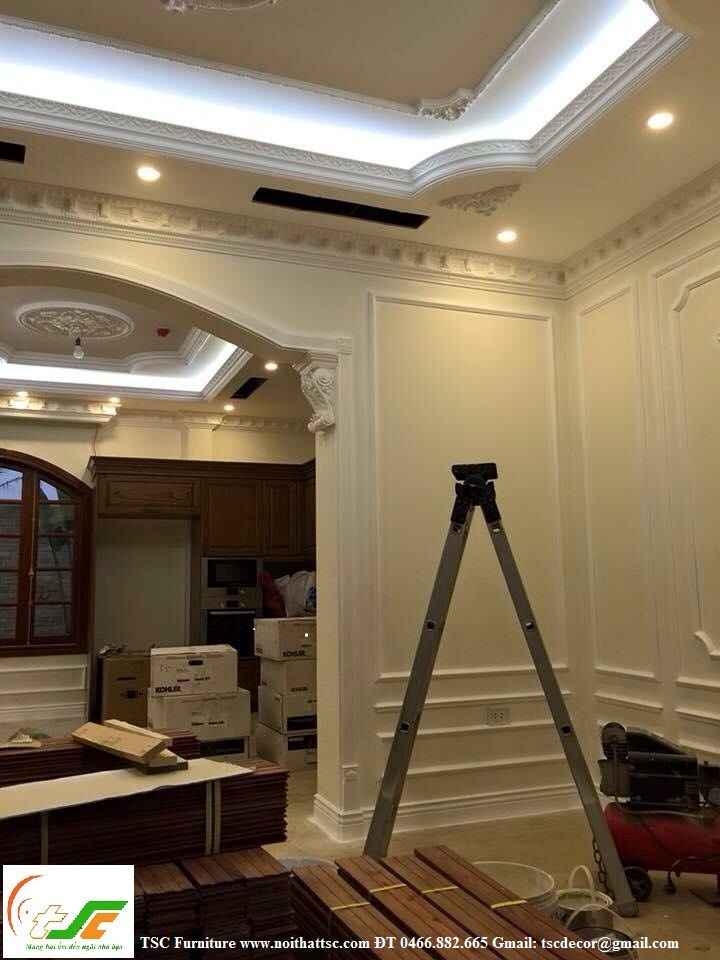 thiết kế thi công biệt thự