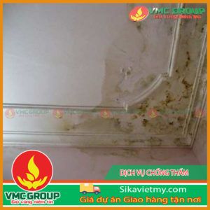 DỊCH VỤ CHỐNG THẤM DỘT SỮA NHÀ